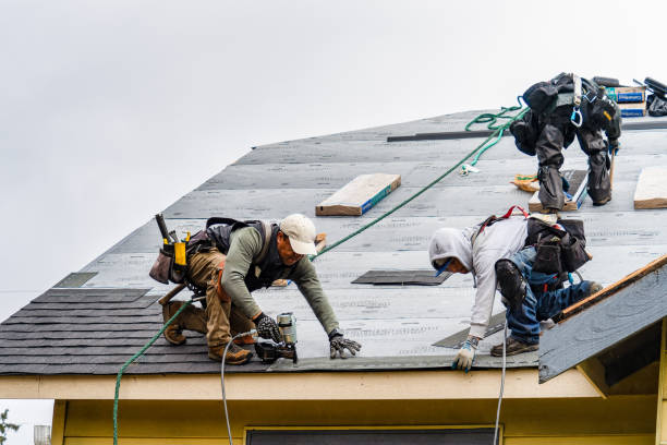 Professional Roofing technician working in Swain, NY